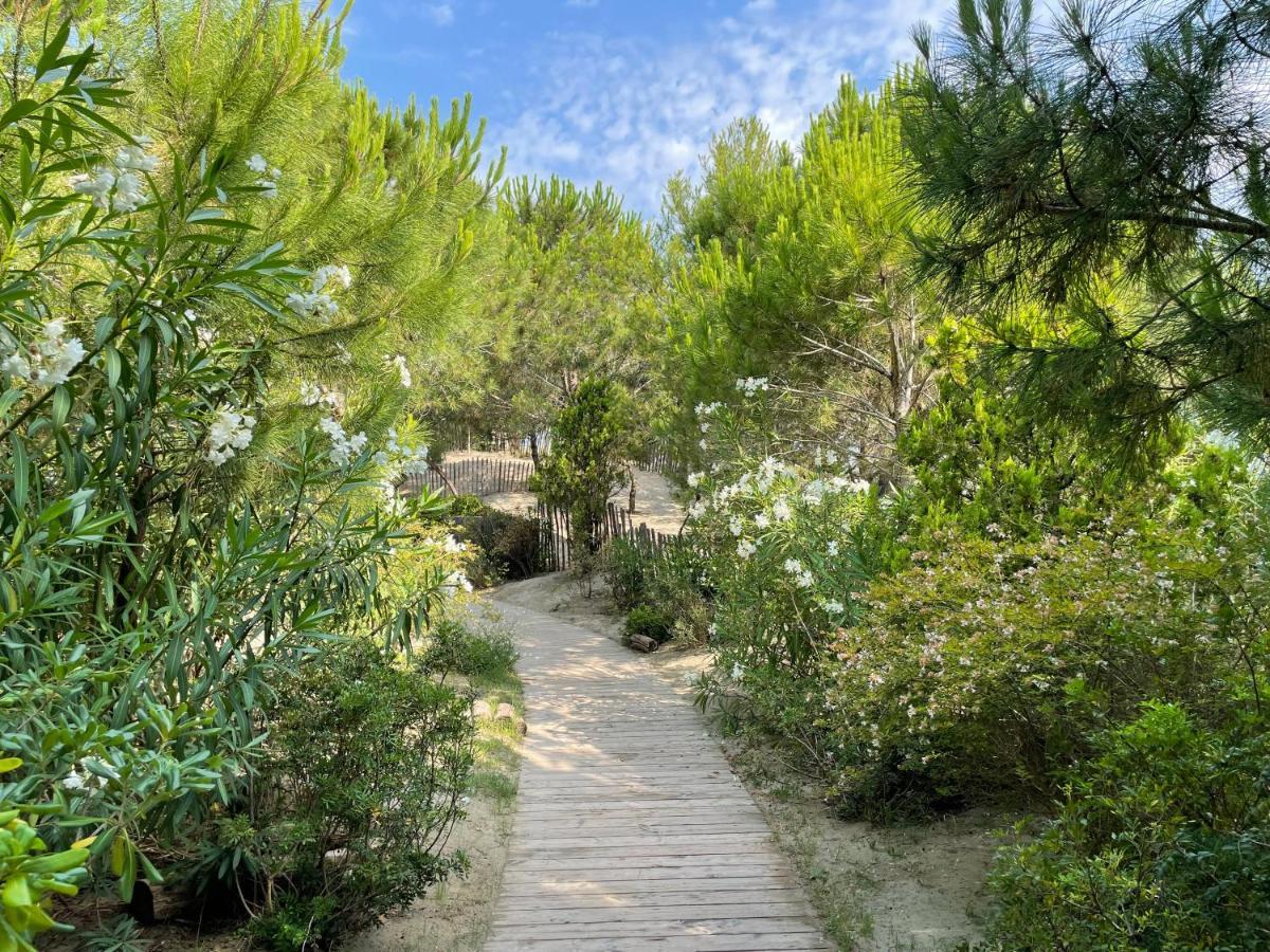 Hotel Plage Palace & Spa Palavas-les-Flots Exterior photo The path leading to the cave